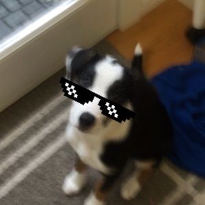 Meet your Posher, Andrew